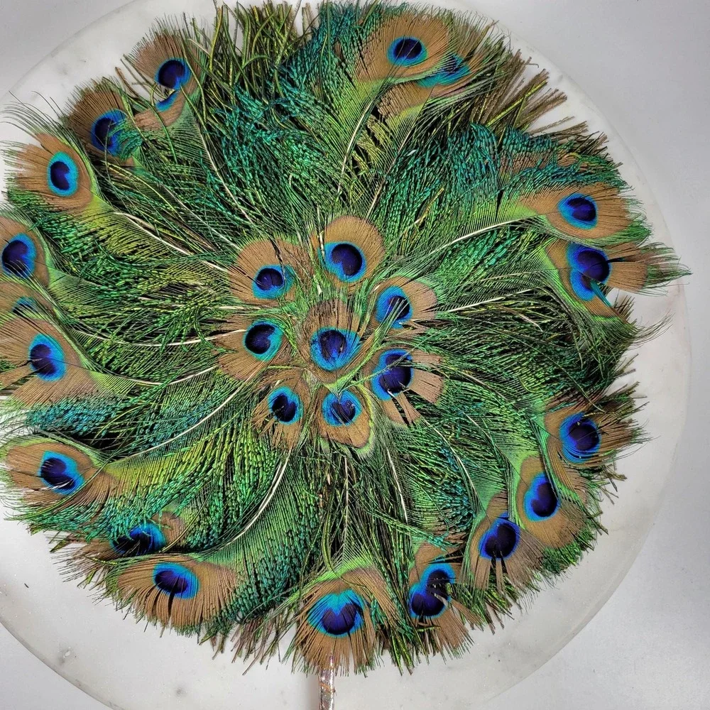 Vintage Peacock Feather Fan 12